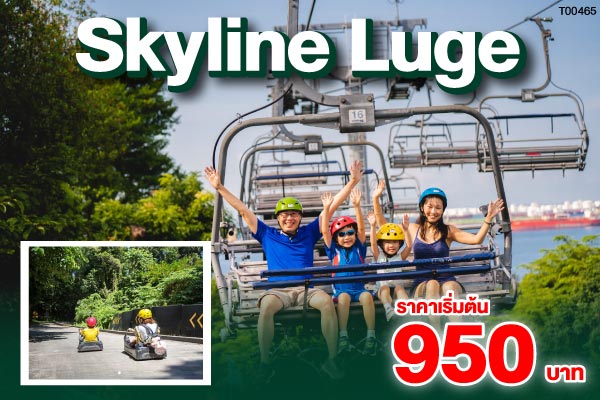 Skyline Luge