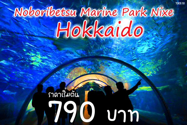 Noboribetsu Marine Park Nixe Hokkaido