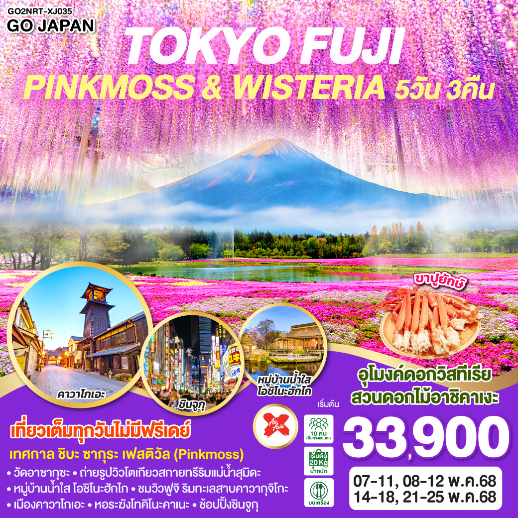 QQGO2NRT-XJ035 TOKYO FUJI PINKMOSS & WISTERIA 5D 3N  โดยสายการบินไทยแอร์เอเชีย เอ็กซ์ [XJ]