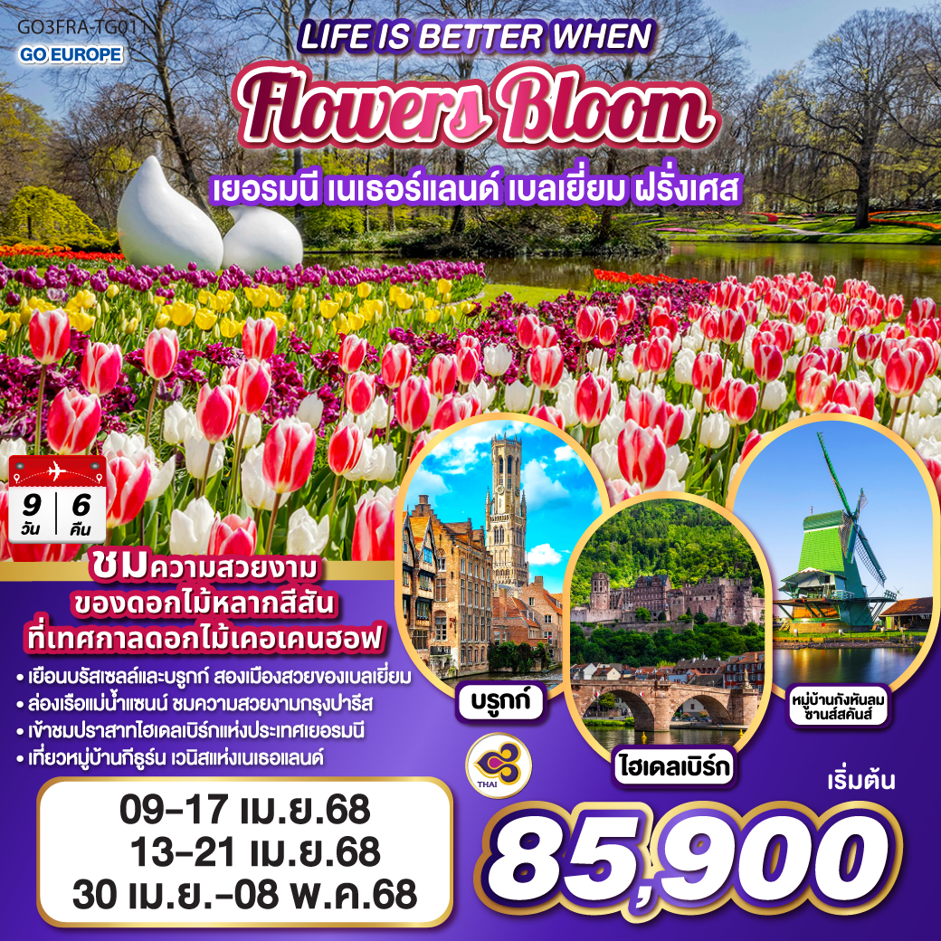 QQGO3FRA-TG011 LIFE IS BETTER WHEN FLOWERS BLOOM เยอรมนี เนเธอร์แลนด์ เบลเยี่ยม ฝรั่งเศส 9 วัน 6 คืน โดยสายการบินไทย (TG)