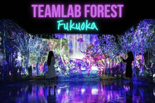 teamLab Forest Fukuoka