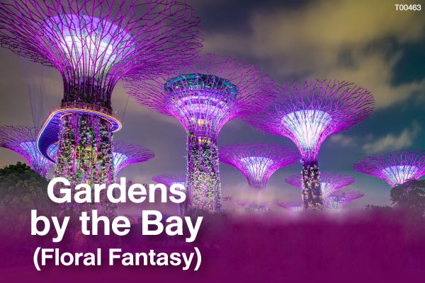 Gardens by the Bay (Floral Fantasy)