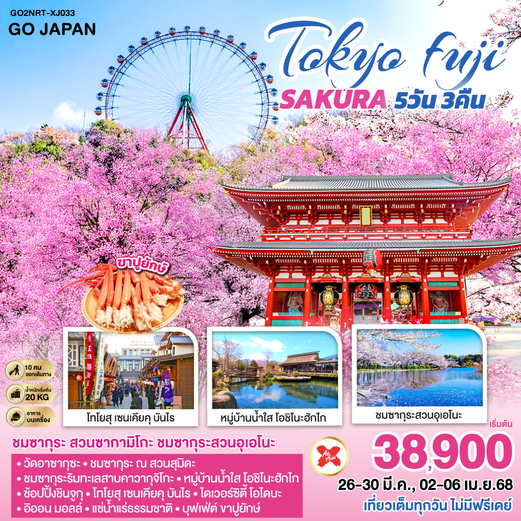 TOKYO FUJI SAKURA 5D 3N โดยสายการบินไทยแอร์เอเชีย เอ็กซ์ [XJ]