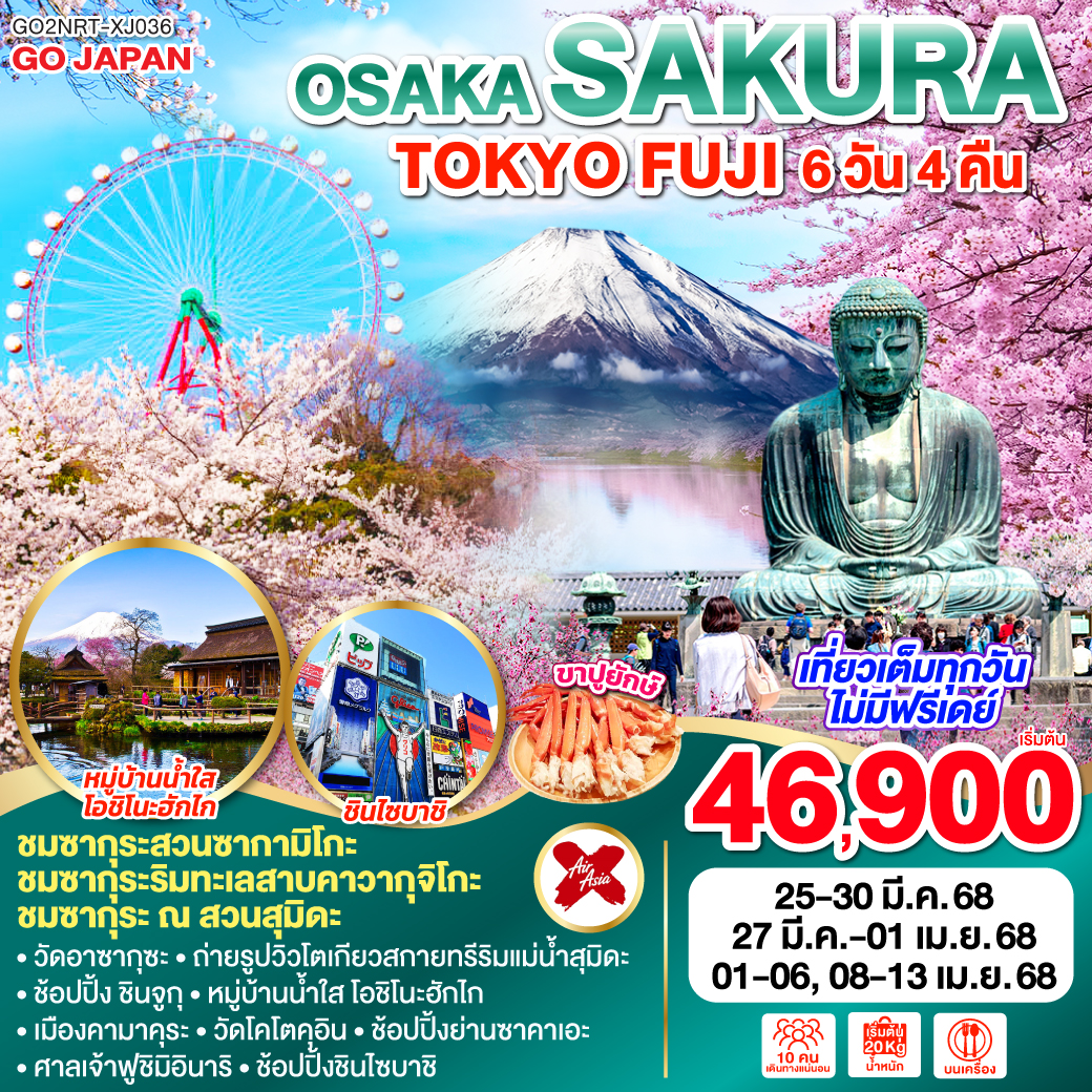 TOKYO FUJI OSAKA SAKURA 6D 4N  โดยสายการบินไทยแอร์เอเชีย เอ็กซ์ [XJ]