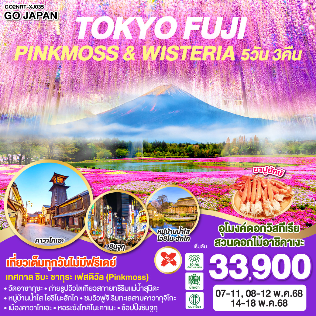 TOKYO FUJI PINKMOSS & WISTERIA 5D 3N  โดยสายการบินไทยแอร์เอเชีย เอ็กซ์ [XJ]