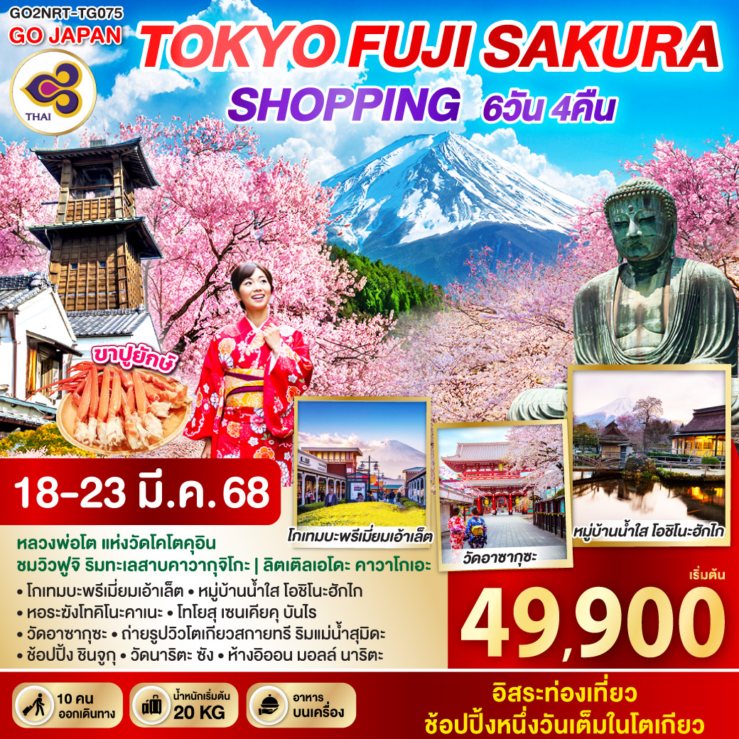 TOKYO FUJI SAKURA SHOPPING  6D 4N โดยสายการบินไทย [TG]