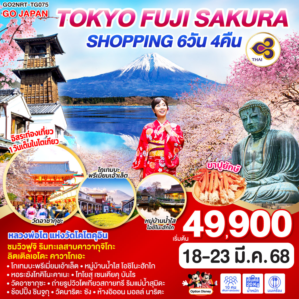 TOKYO FUJI SAKURA SHOPPING  6D 4N โดยสายการบินไทย [TG]