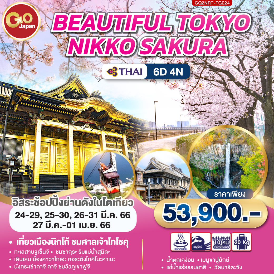 Beautiful Tokyo Nikko Sakura 6D 4N โดยสายการบินไทย (TG)